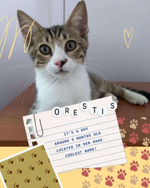 Orestis