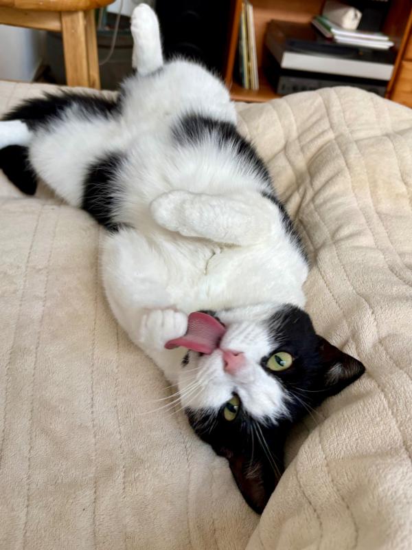 Nala