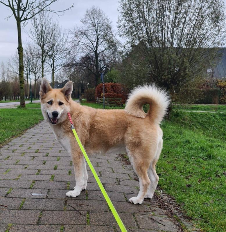Chloe