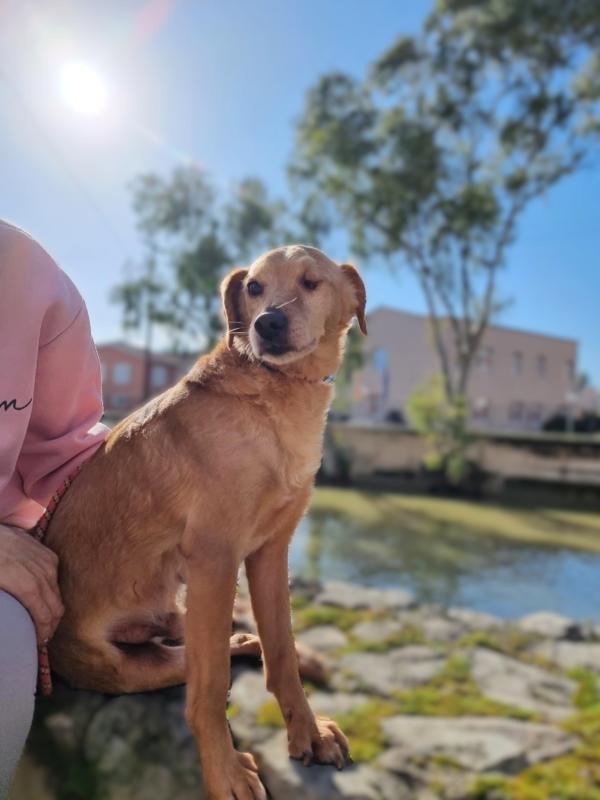 Jude