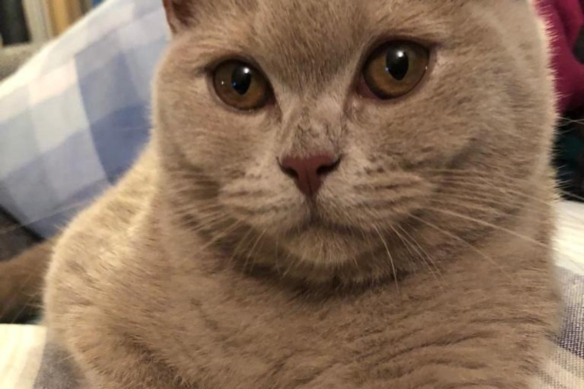 Yuki
