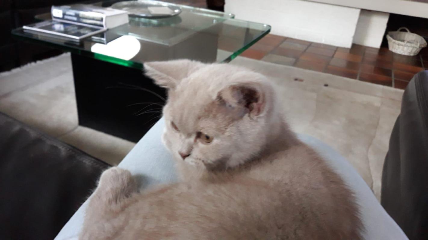 Yuki