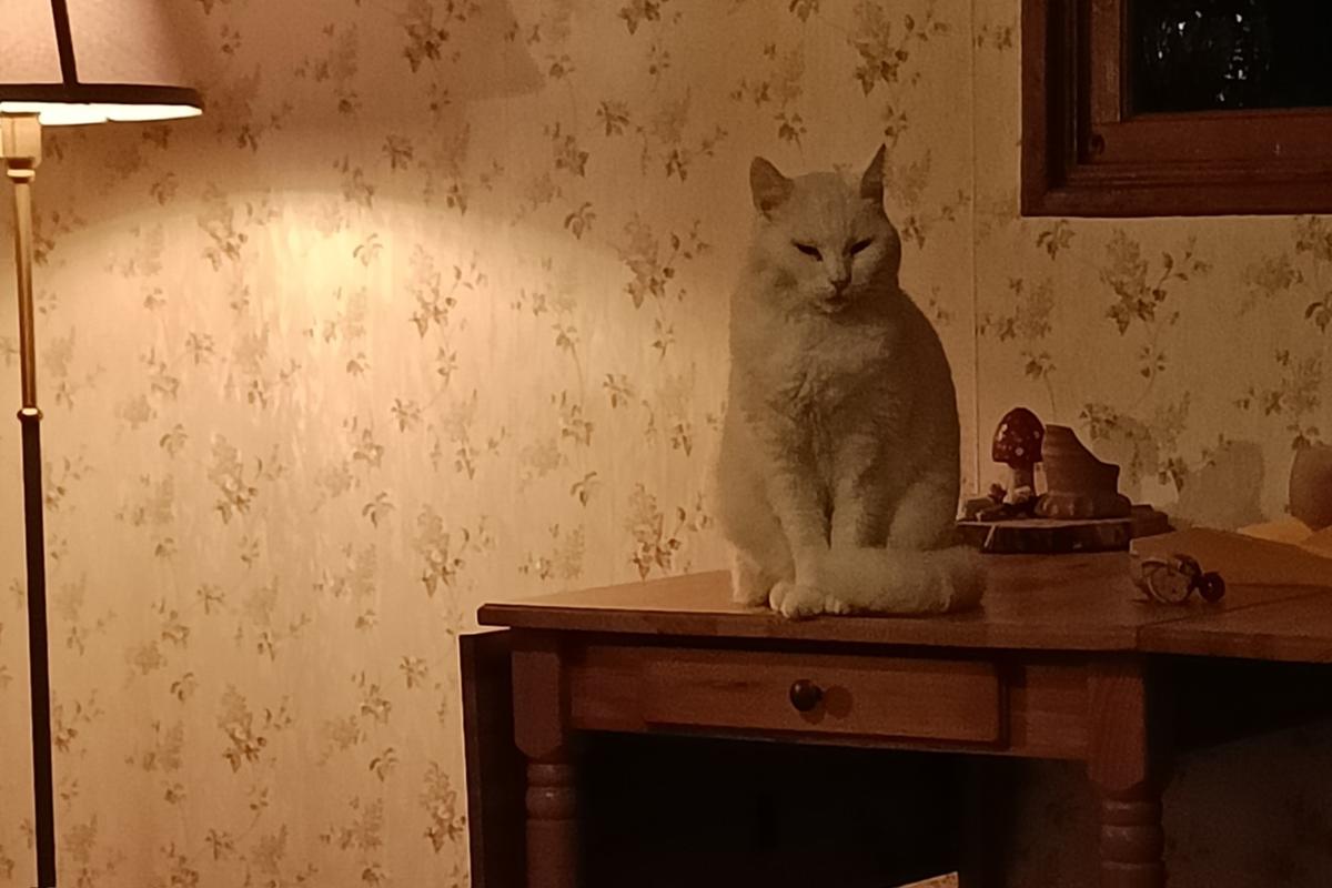 Keetje