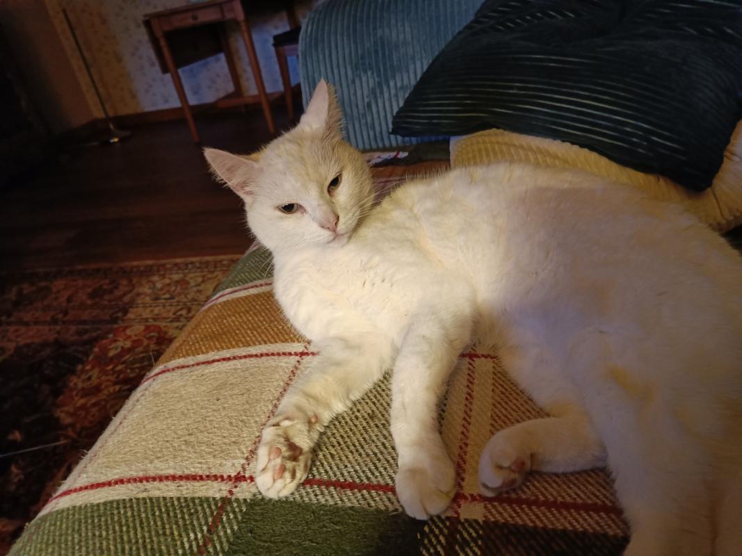 Keetje