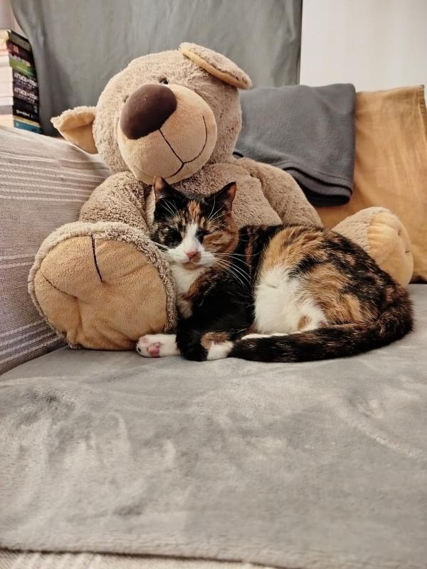 Lulu