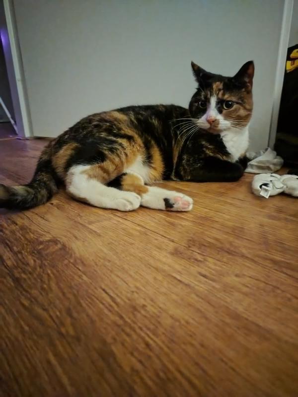 Lulu