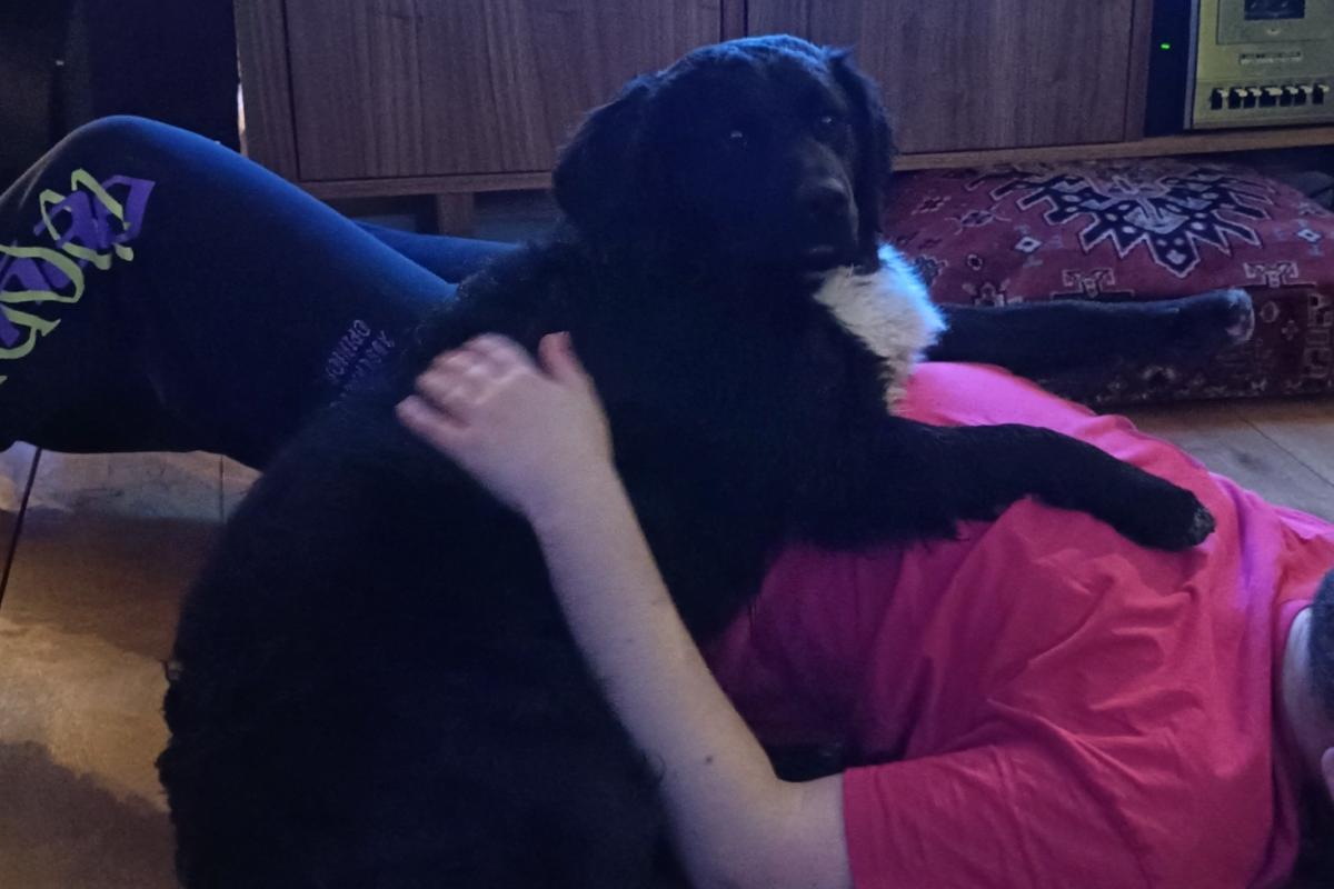 Koos