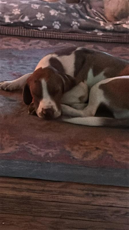 Jack
