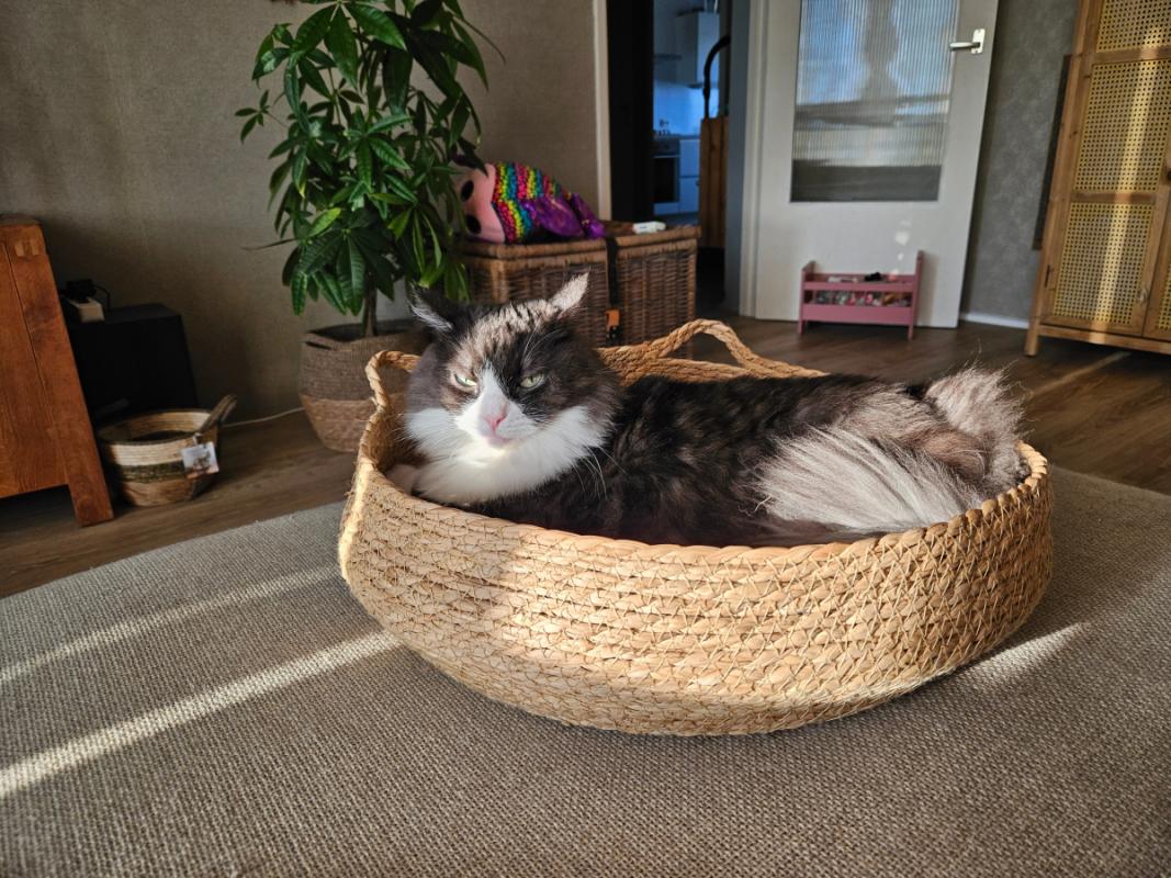 Mia