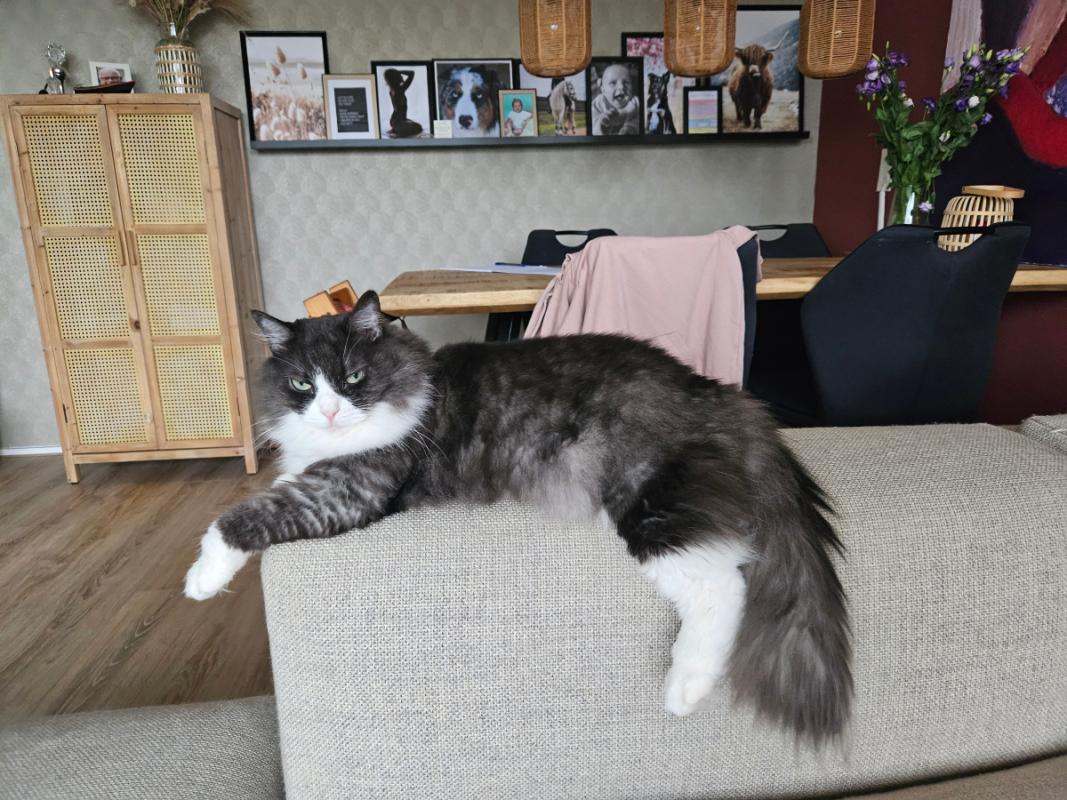 Mia