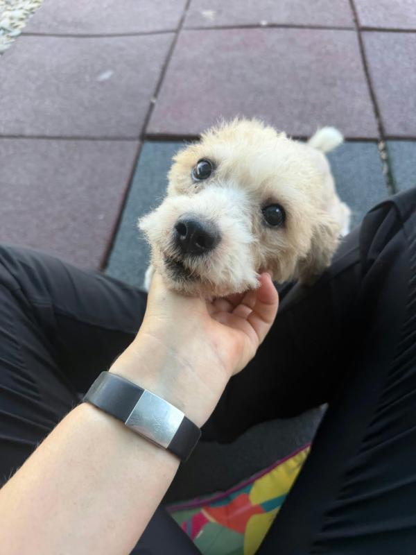 Gary