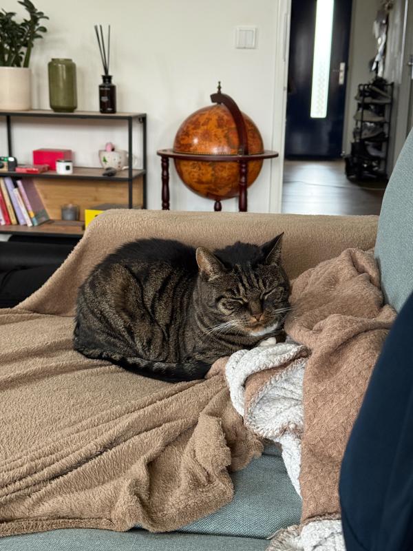 Luna