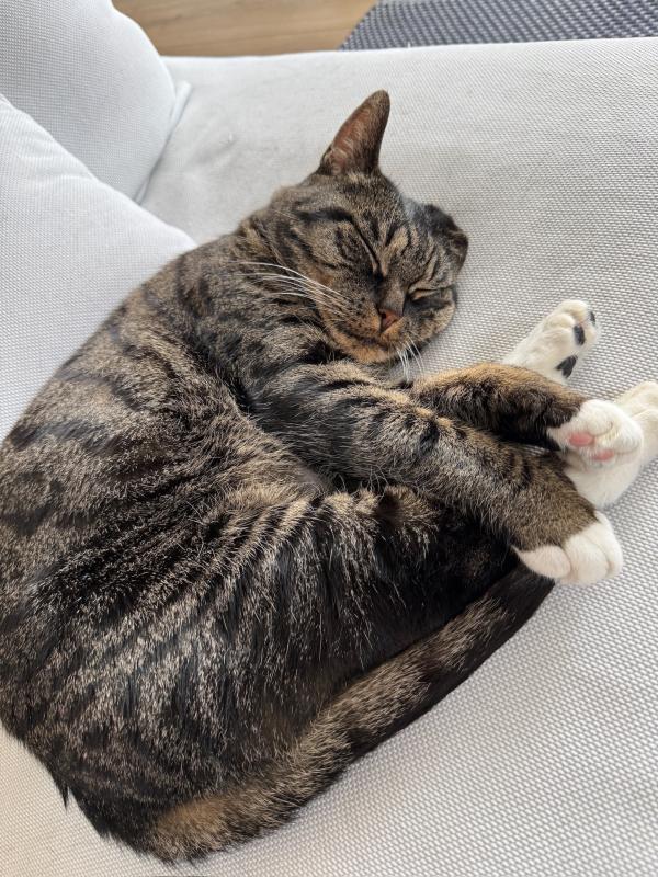 Luna