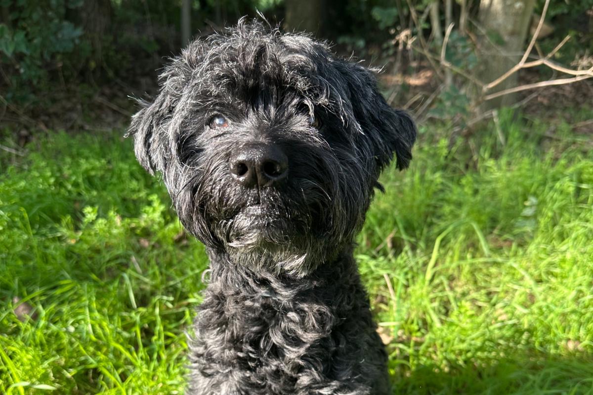 Sammie