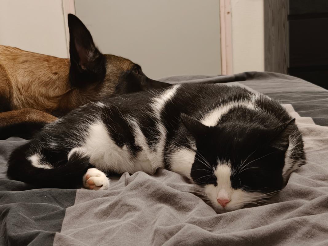 Max