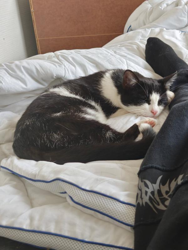 Max