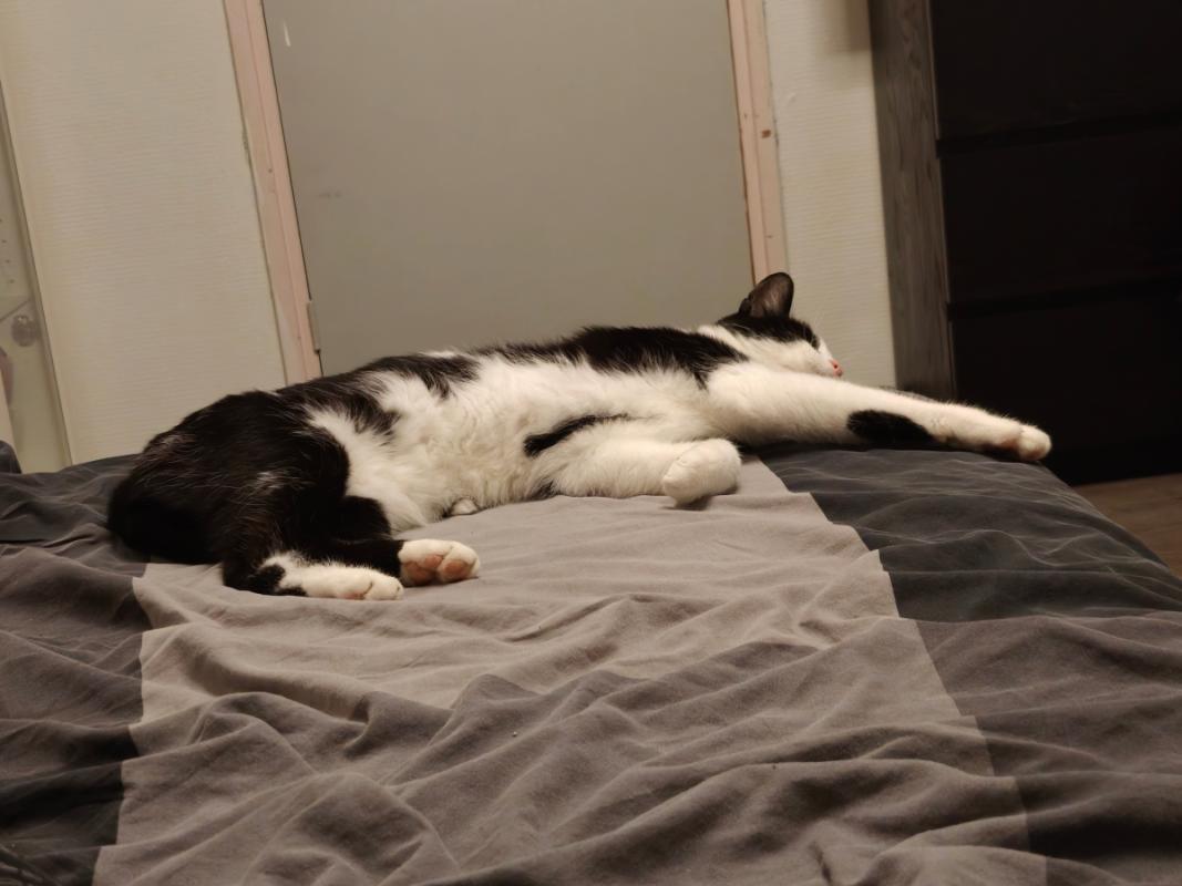 Max