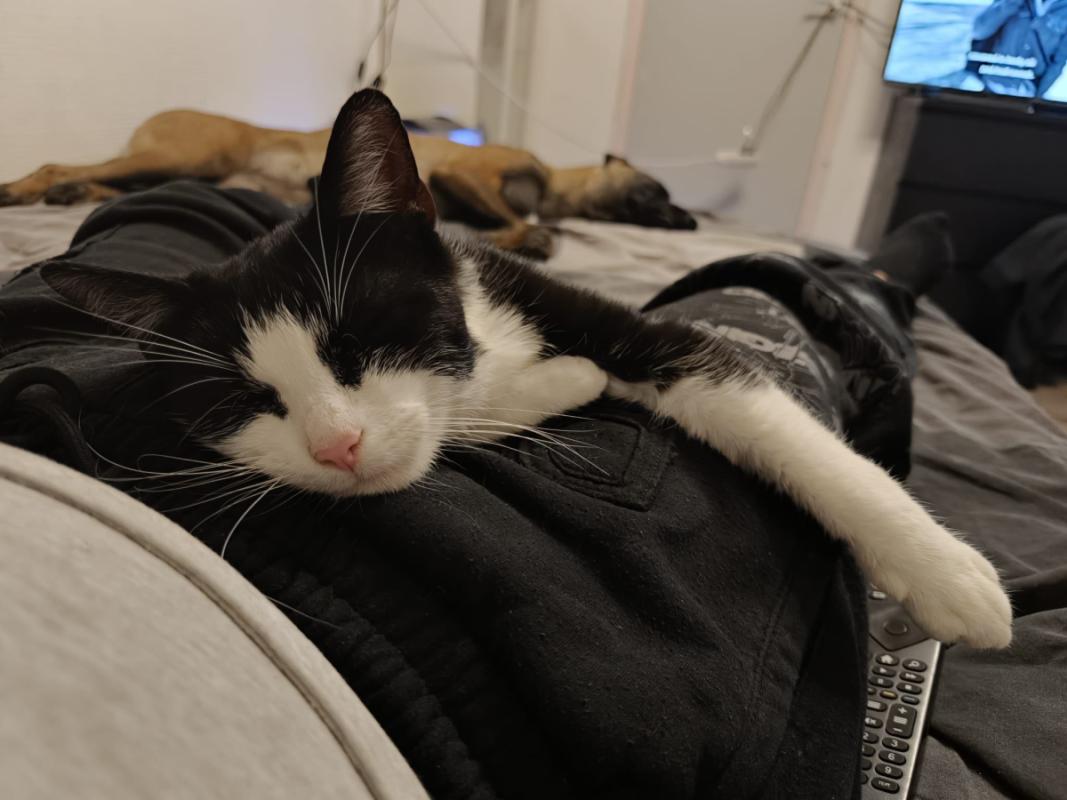 Max