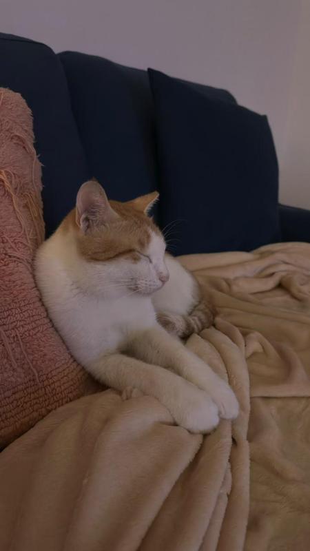 Caramel
