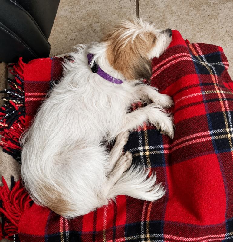 Skye