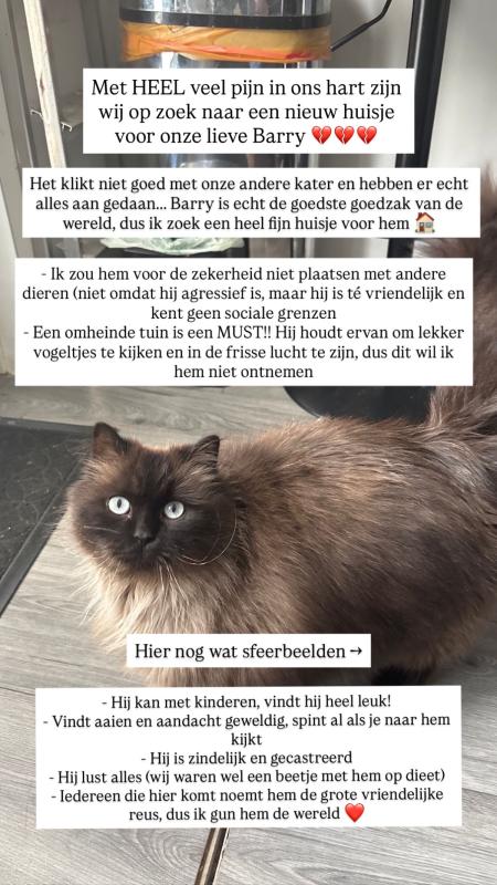 Barry