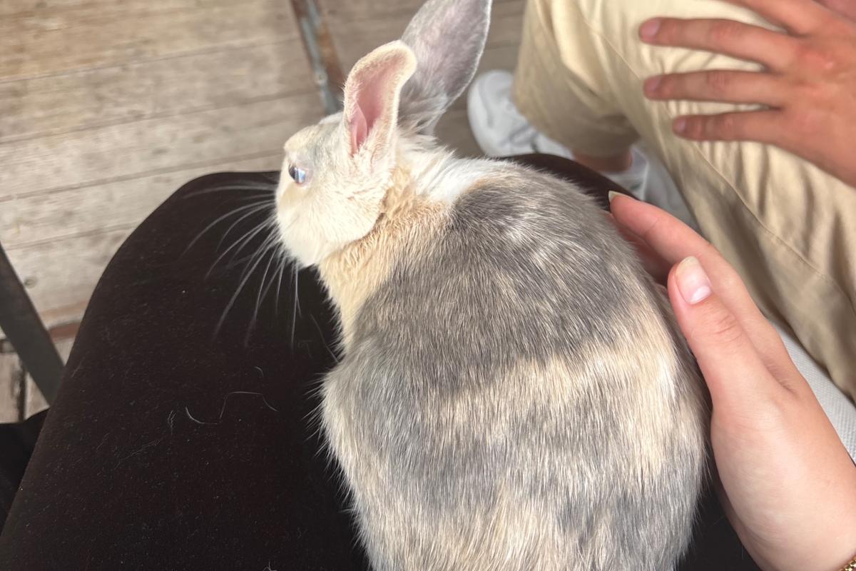 Winnie