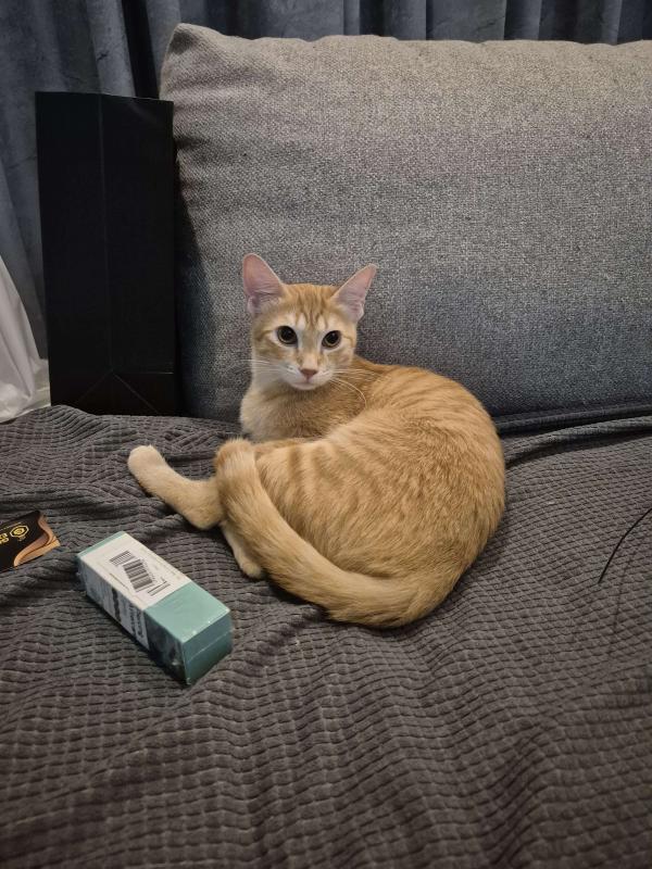 Mia