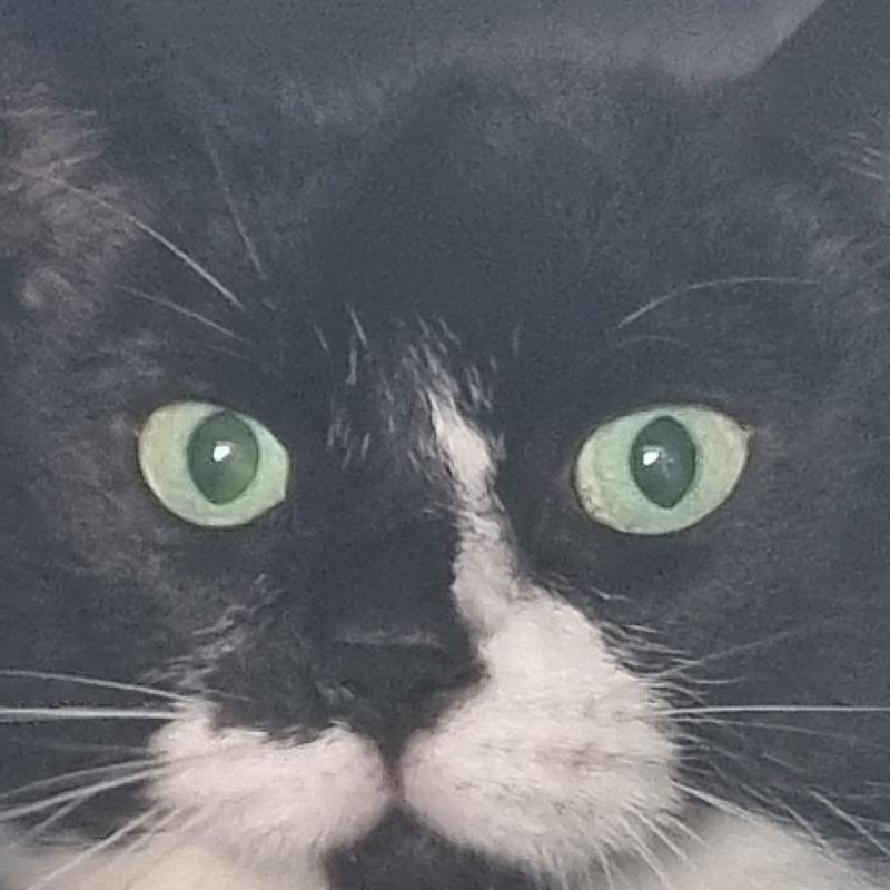 Rosie
