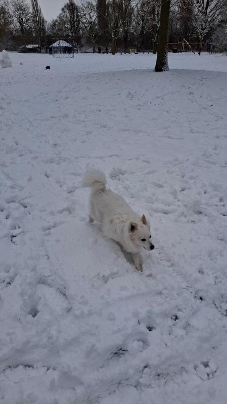 Luca