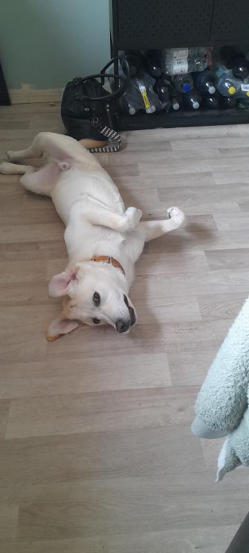 Sam
