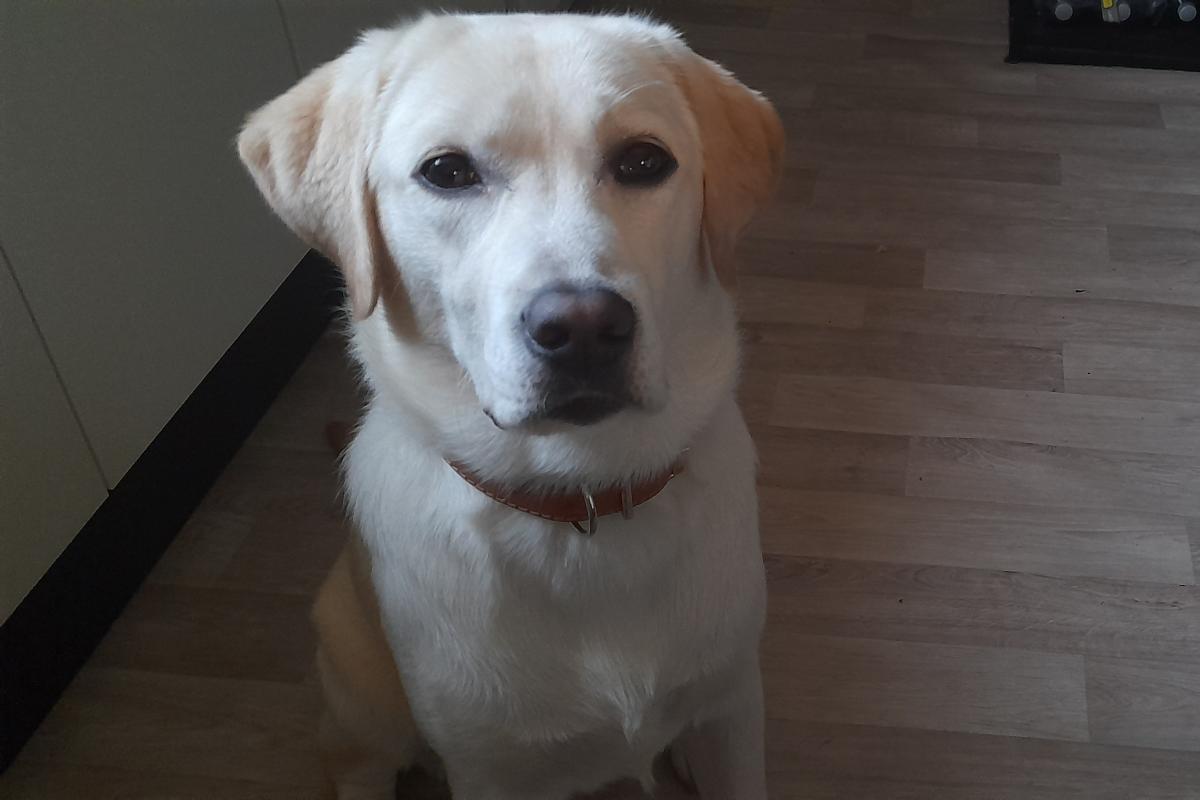 Sam