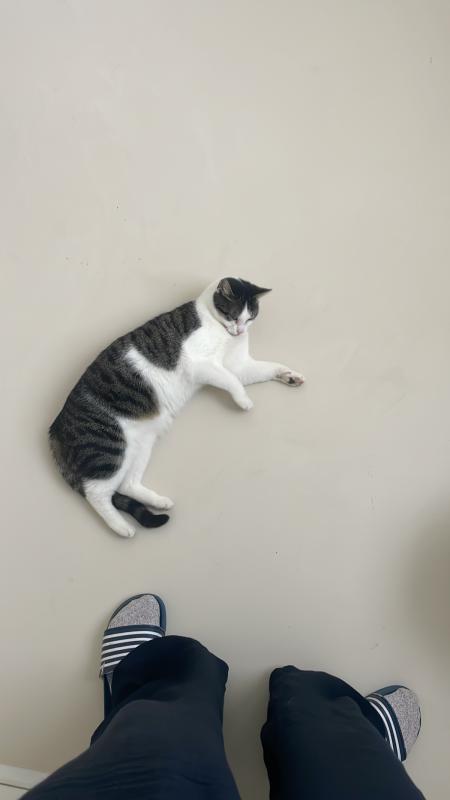 Balthazar (Balti)