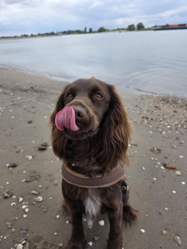 Bonnie