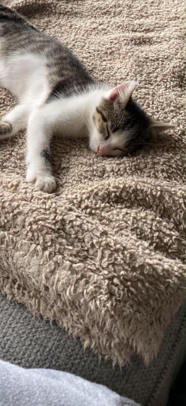 Milou