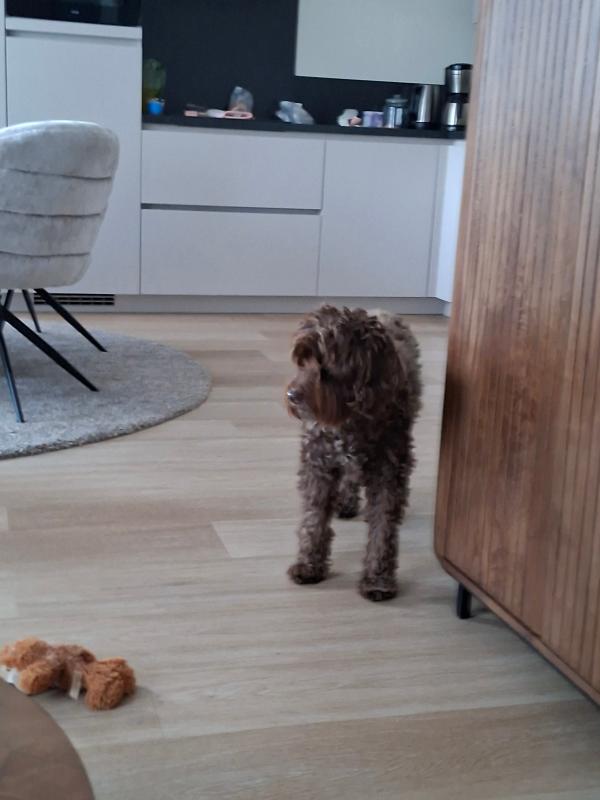 Riley