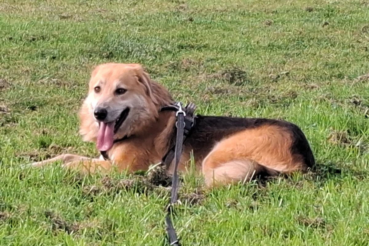 Max