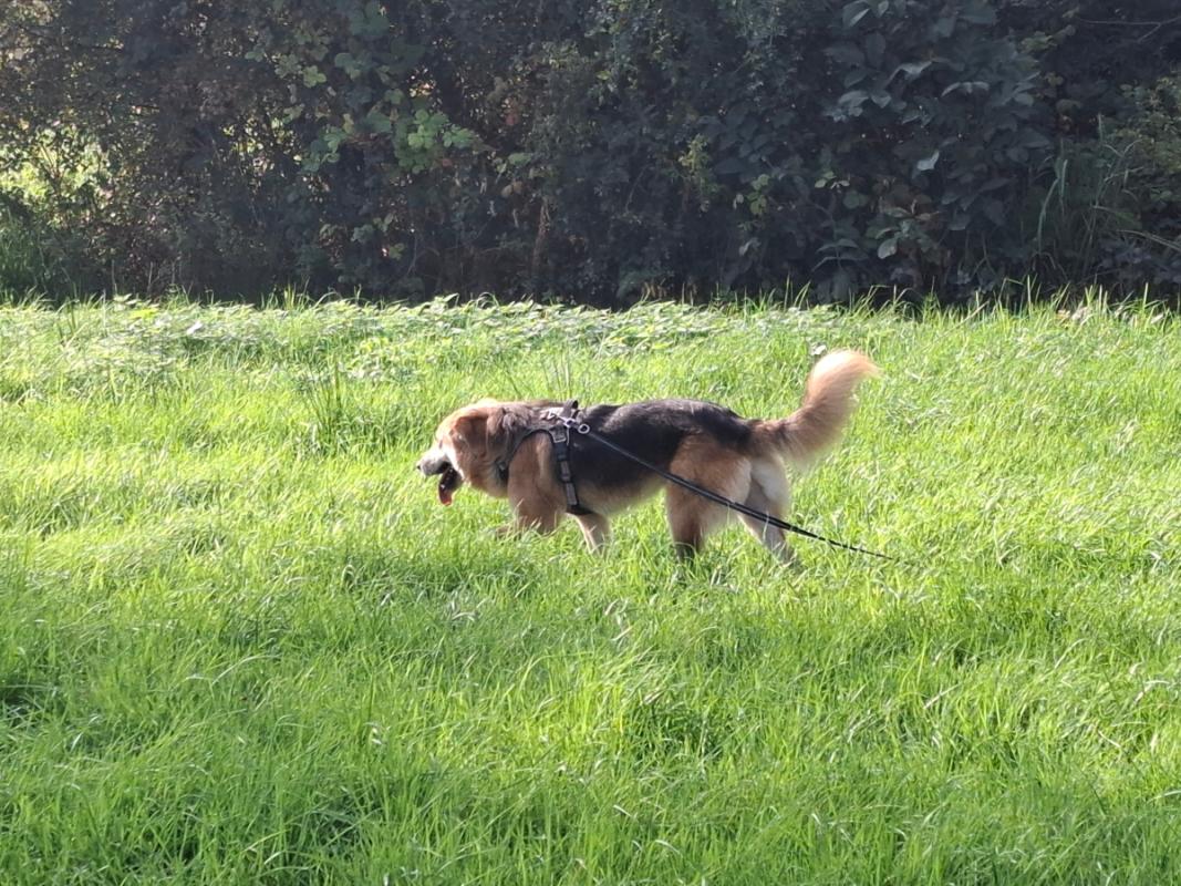 Max