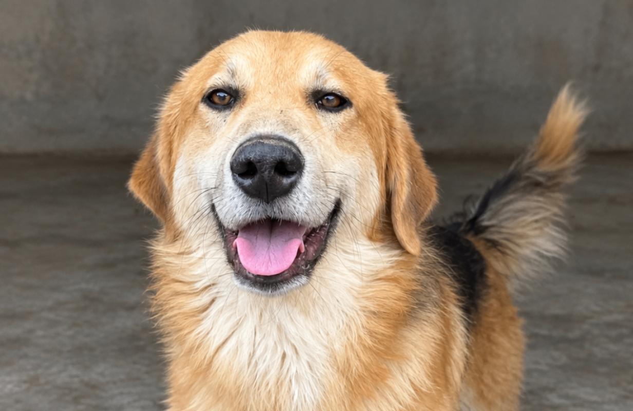 Max