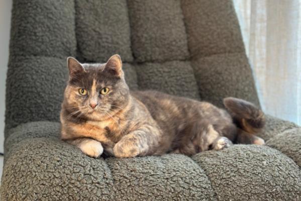 Mable