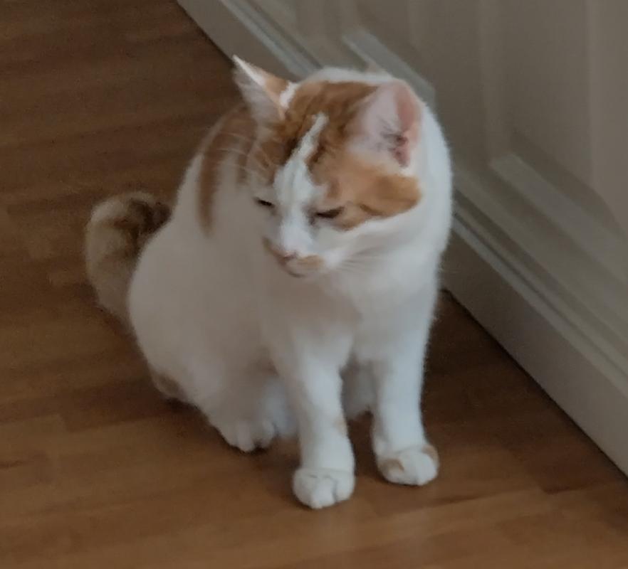 Hera