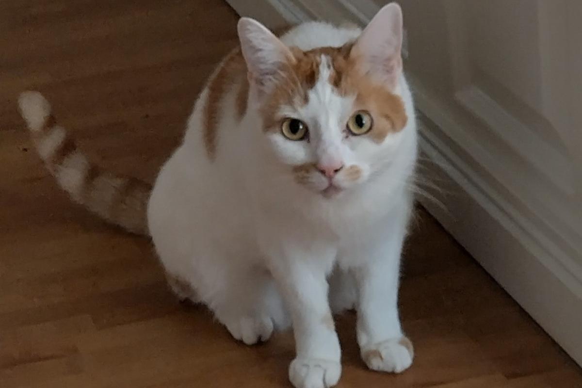 Hera
