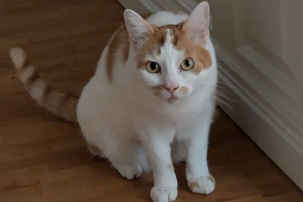 Hera