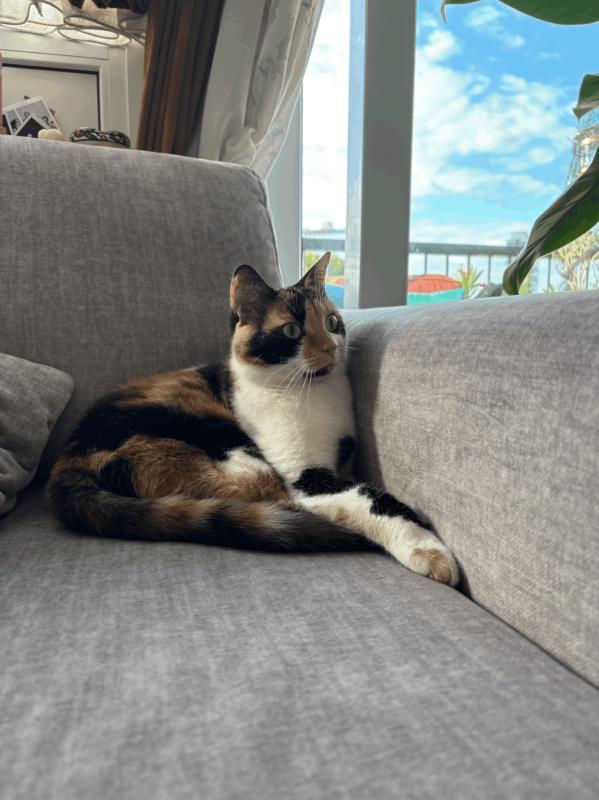 Mila