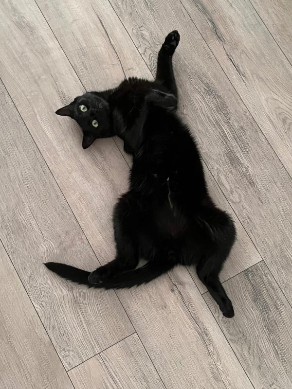 Dexter