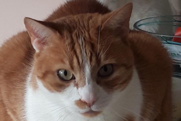 George