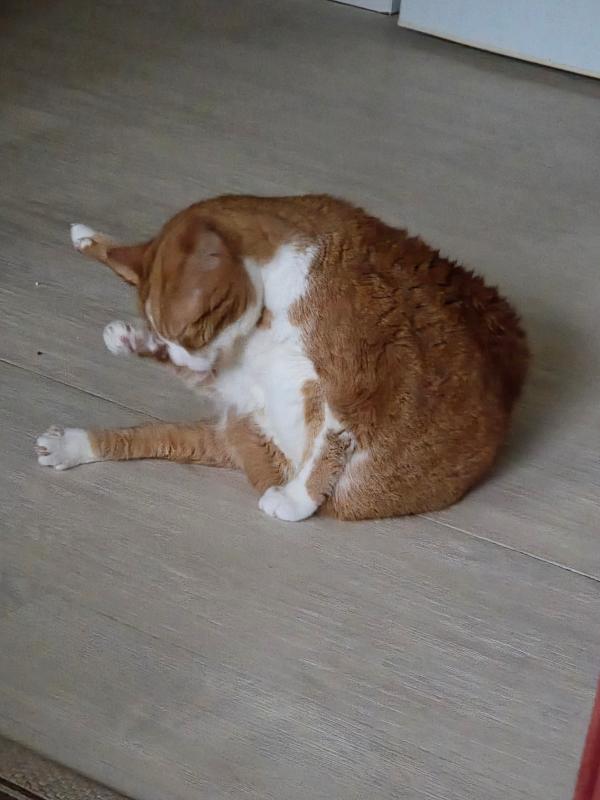 George