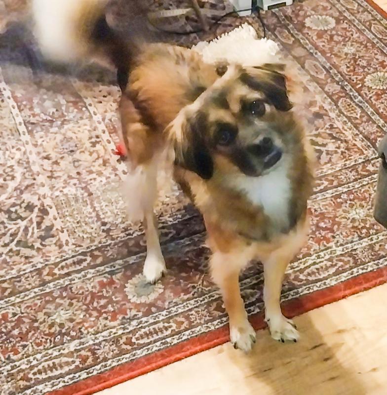 Lulu