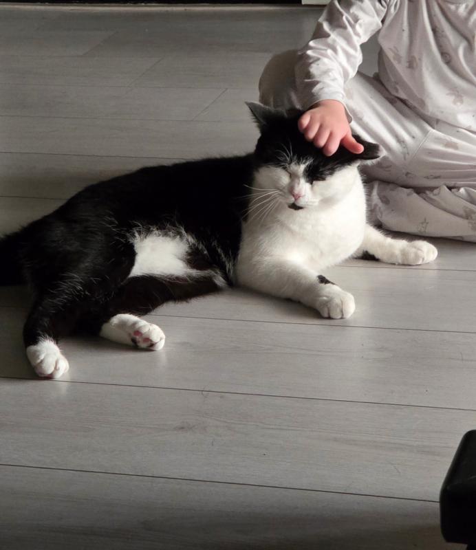 Piet
