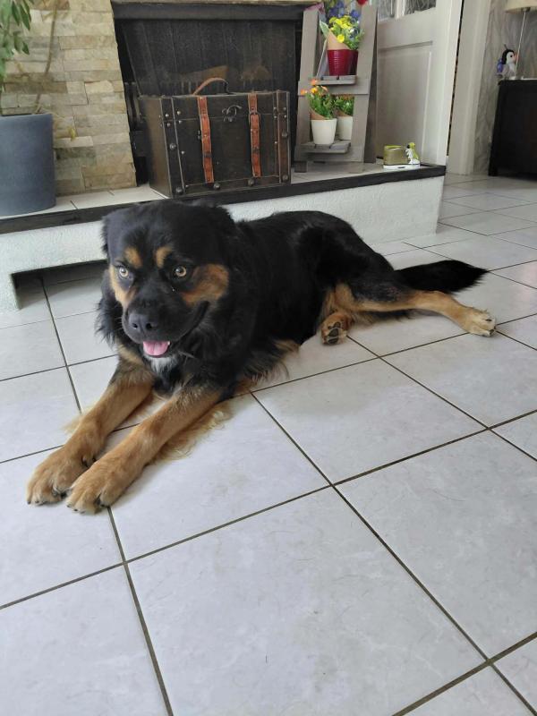 Luca