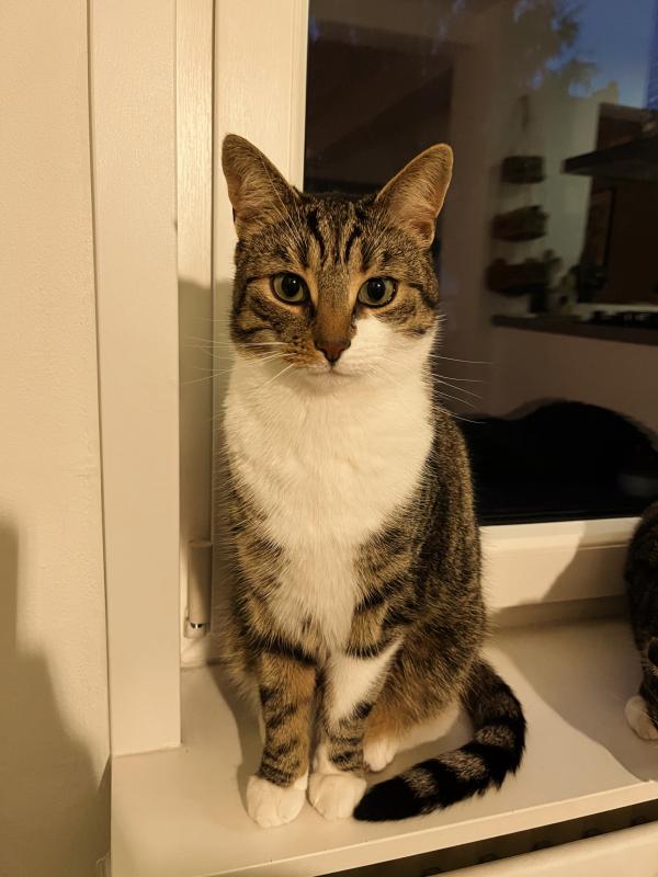 Billy